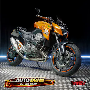 2013 KAWASAKI Z800