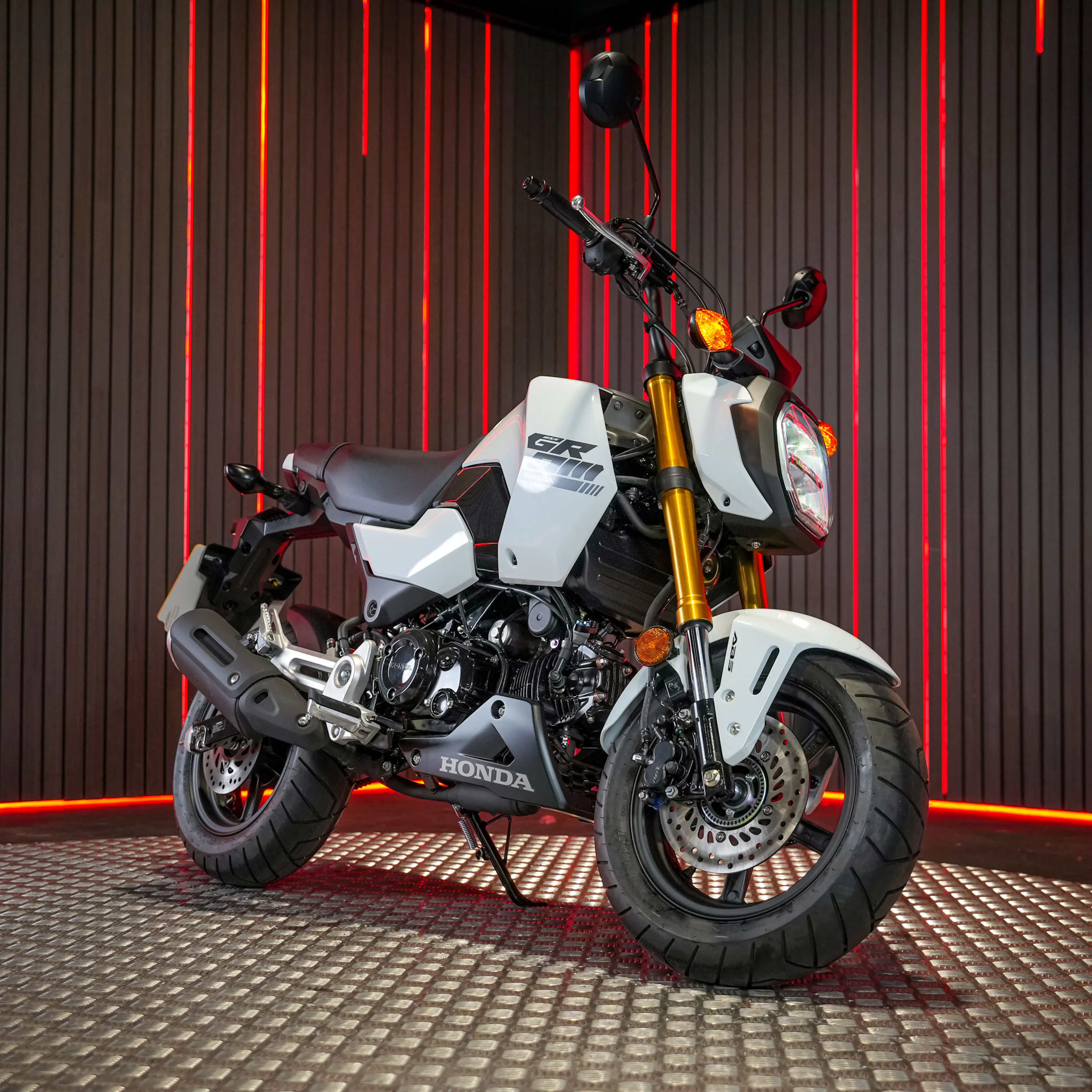 Leslie Male - 2025 HONDA GROM MSX 125 - LOW ODDS