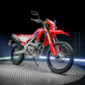2023 HONDA CRF 300 - LOW ODDS