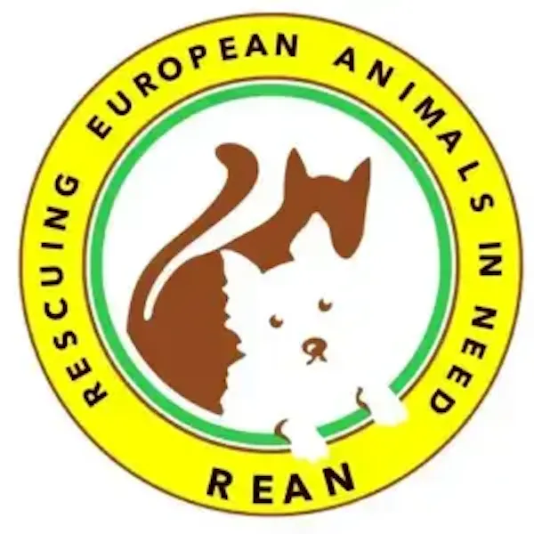 rev-comps charity 1000-rean-rescue