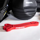 PRIMAL SERIES HIIT BENCH + ACCESSORIES + DUMBBELLS