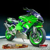 2000 KAWASAKI ZX900 - LOW ODDS