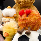 MEGA BRAND NEW JELLYCAT PLUSH TEDDY BUNDLE